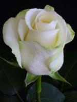 Jean-Baptiste Riendeau